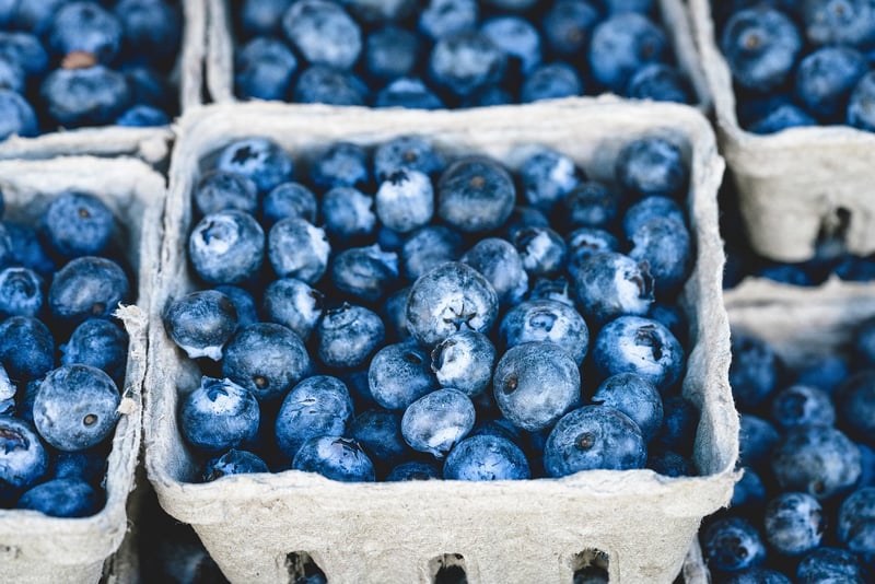 Container Fruits
