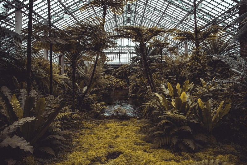 Miniature Greenhouse